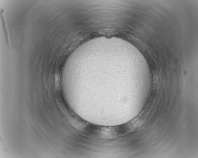 X0000058120130200510212030