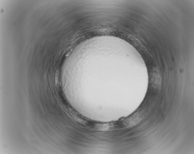 X0000058120131200510212030