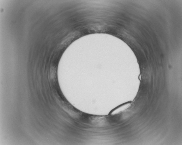 X0000058120132200510212030