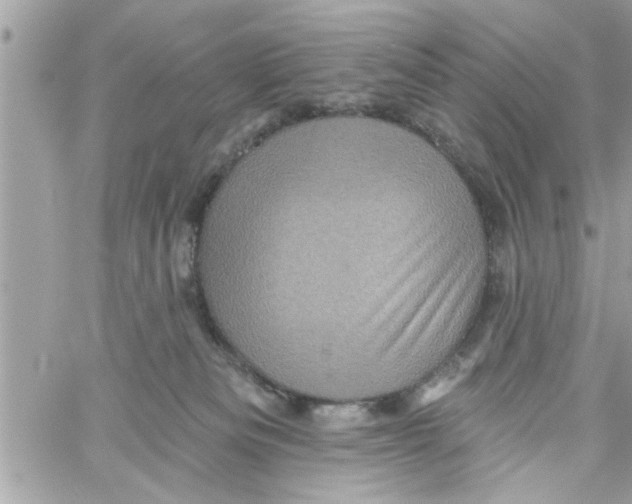 X0000058120133200510212030