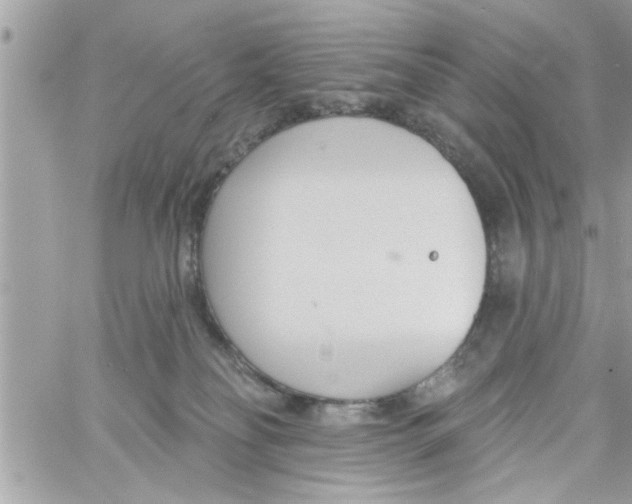 X0000058120134200510212030