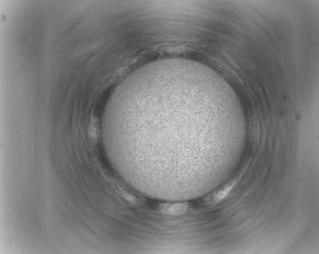 X0000058120135200510212030