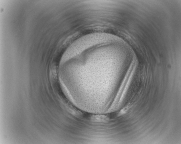 X0000058120137200510212030