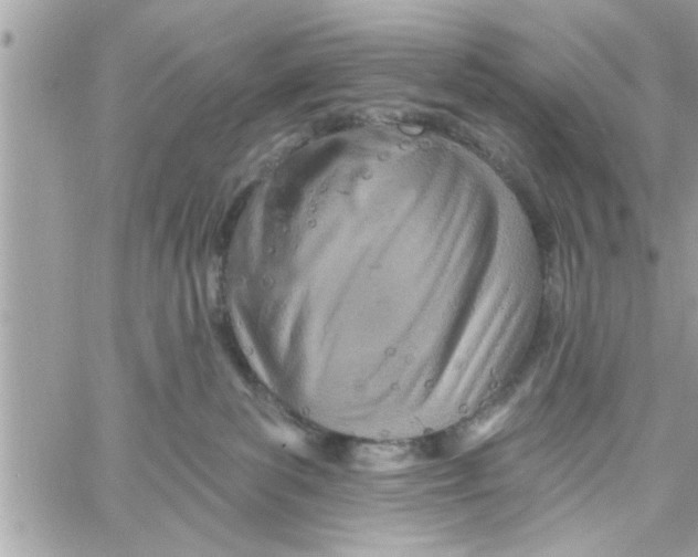 X0000058120139200510212030