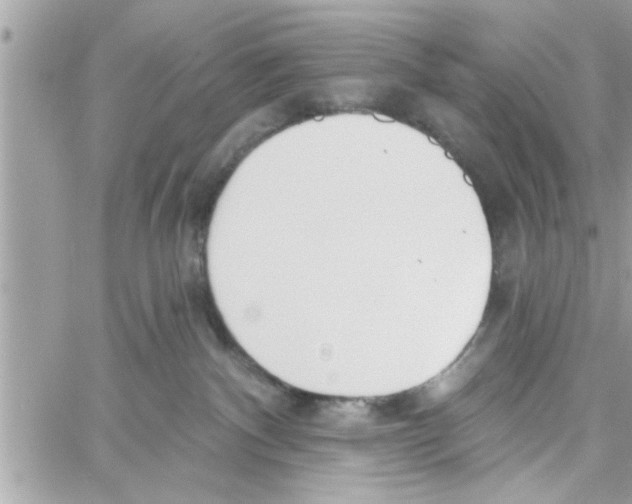 X0000058120140200510212030