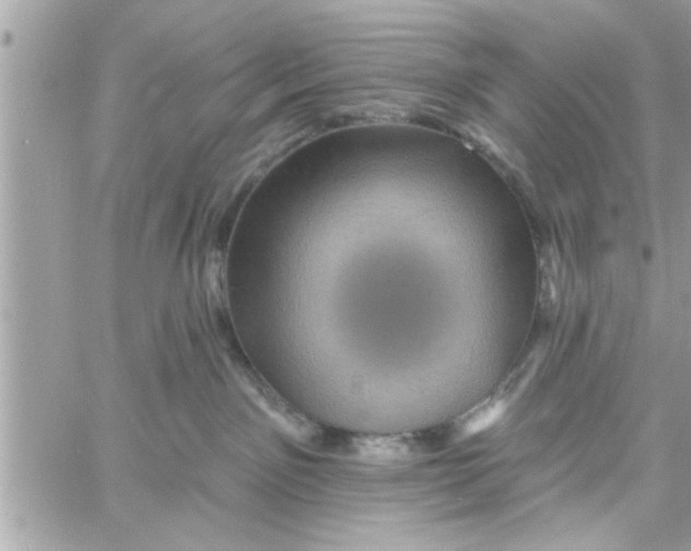 X0000058120141200510212030