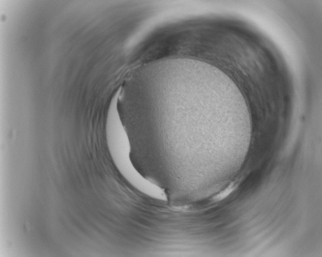 X0000058120143200510212030