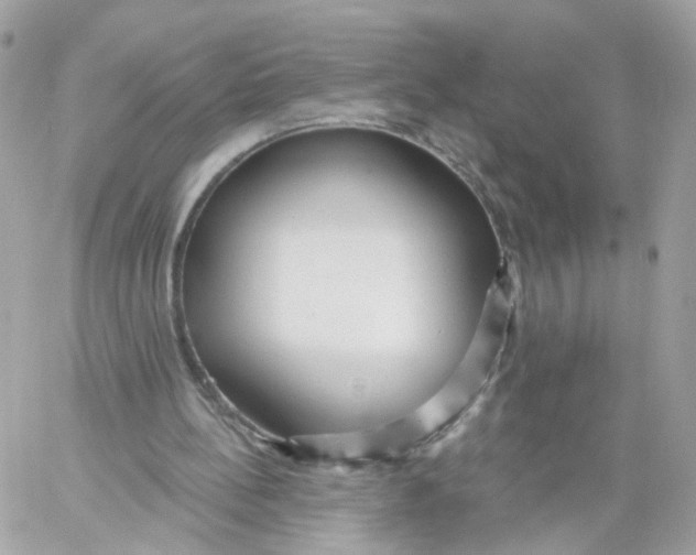 X0000058120148200510212029