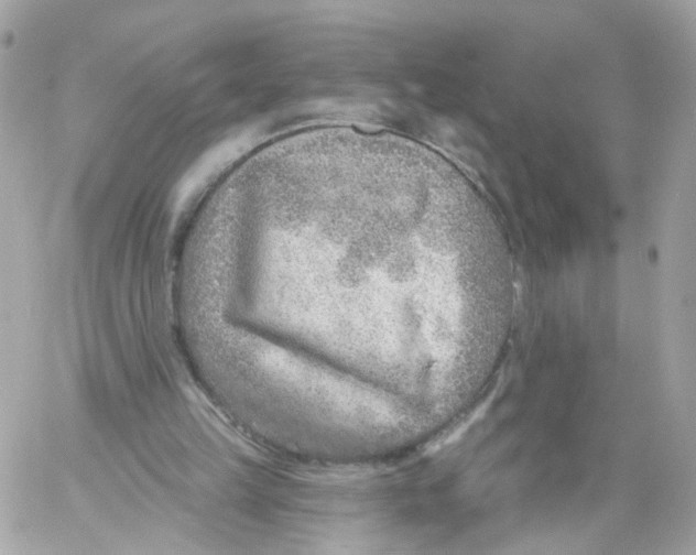 X0000058120149200510212029