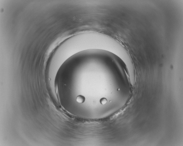 X0000058120150200510212029