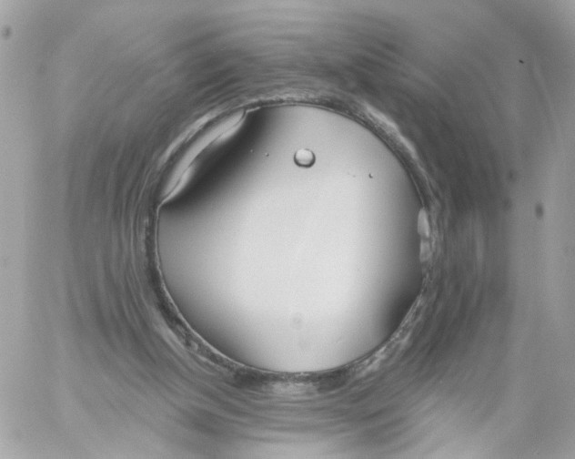 X0000058120154200510212029