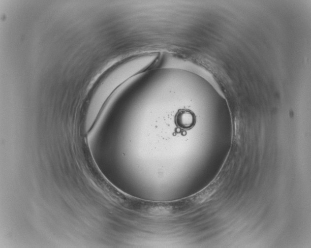 X0000058120156200510212029