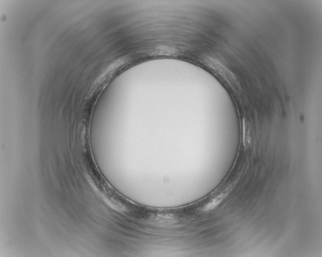 X0000058120157200510212029