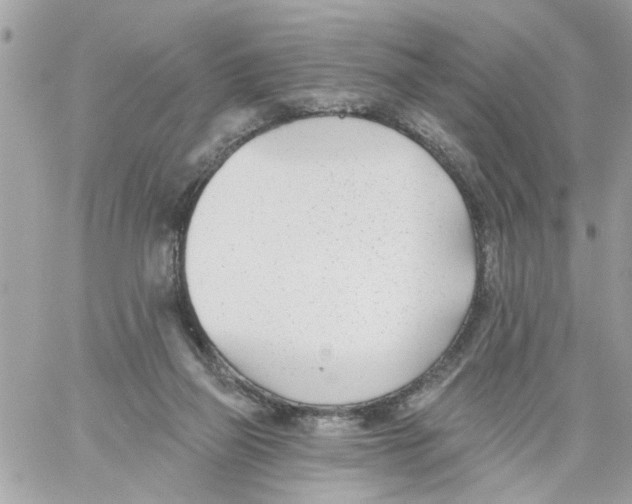 X0000058120165200510212029