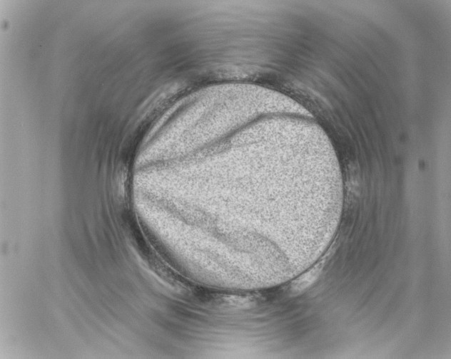 X0000058120166200510212029