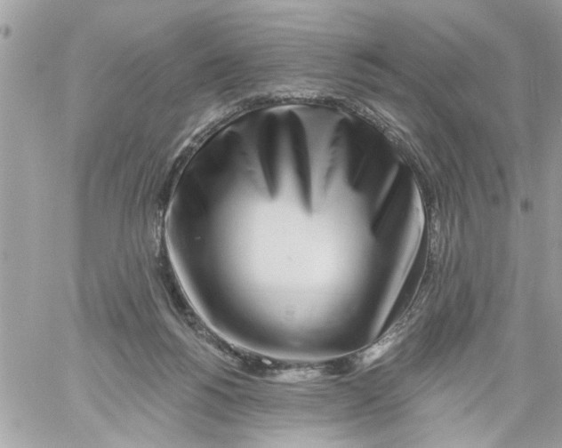 X0000058120168200510212029