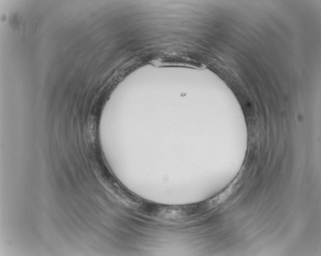 X0000058120174200510212029