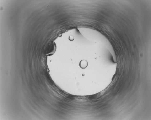 X0000058120175200510212029