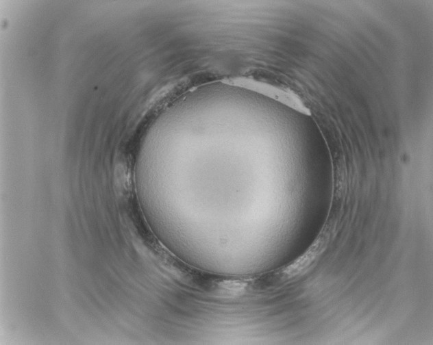 X0000058120176200510212029