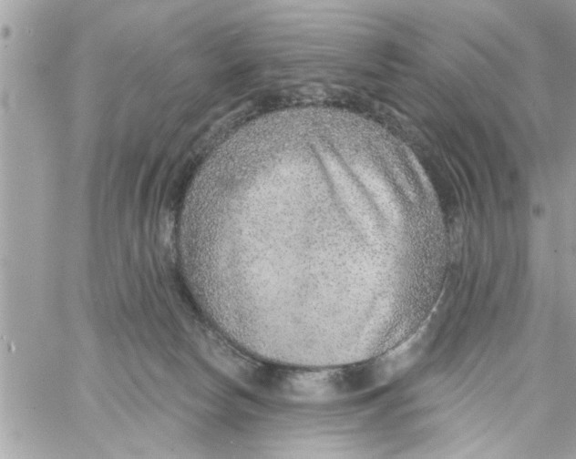 X0000058120178200510212030