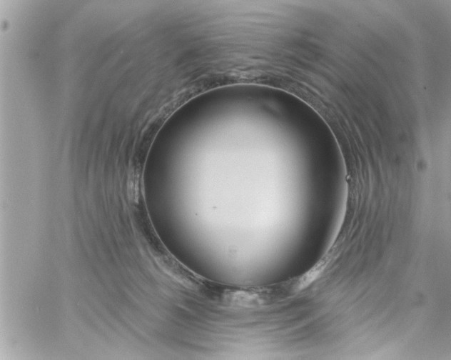 X0000058120180200510212030