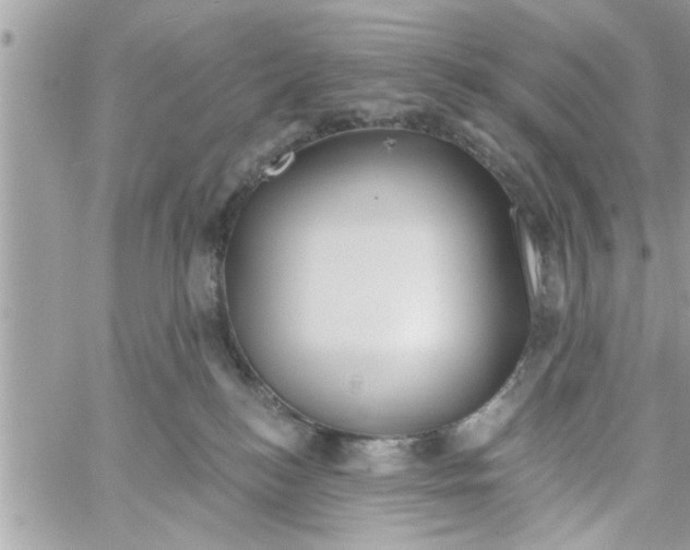 X0000058120184200510212030