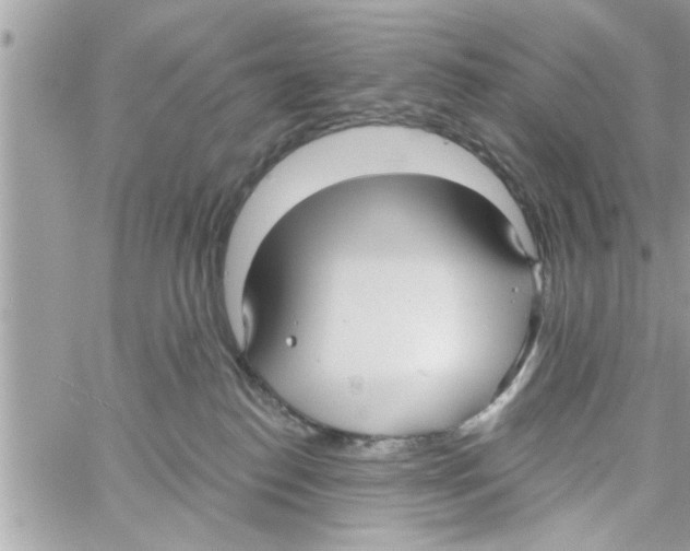 X0000058120186200510212030