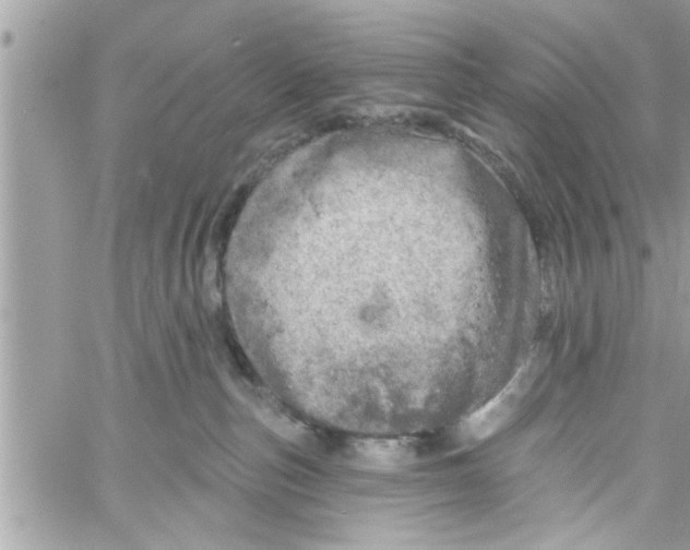 X0000058120187200510212030