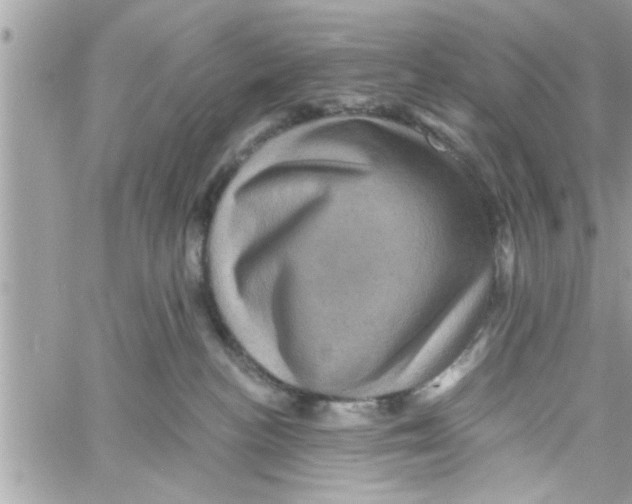 X0000058120188200510212030