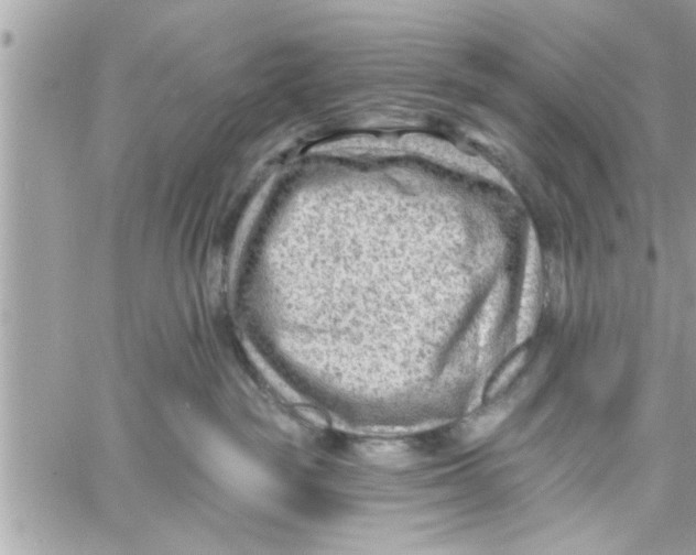 X0000058120189200510212030