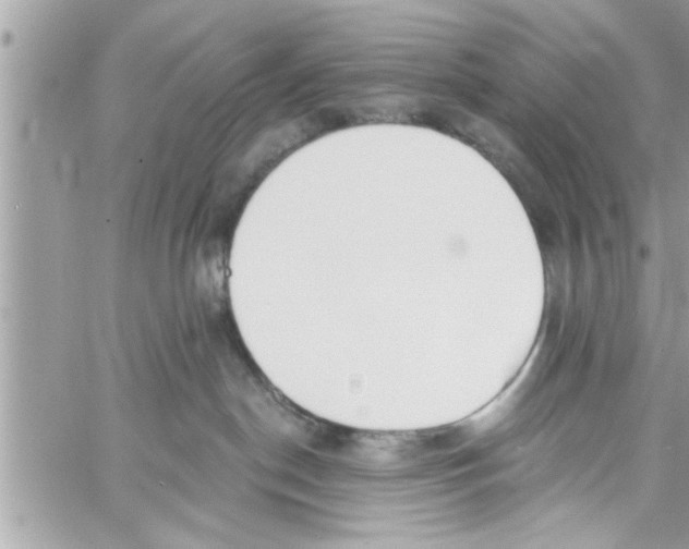 X0000058120190200510212030