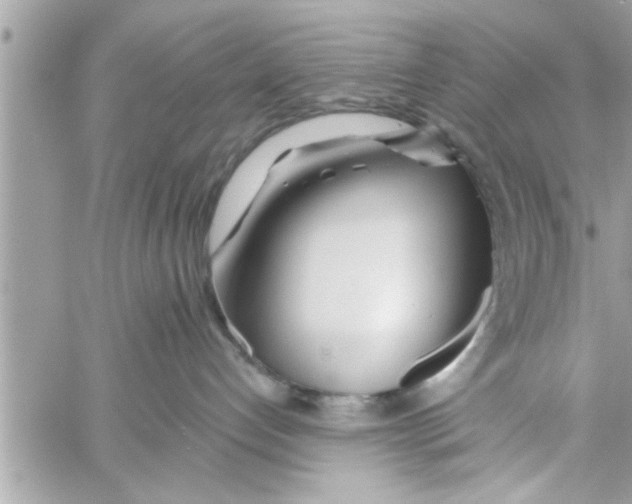 X0000058120192200510212030