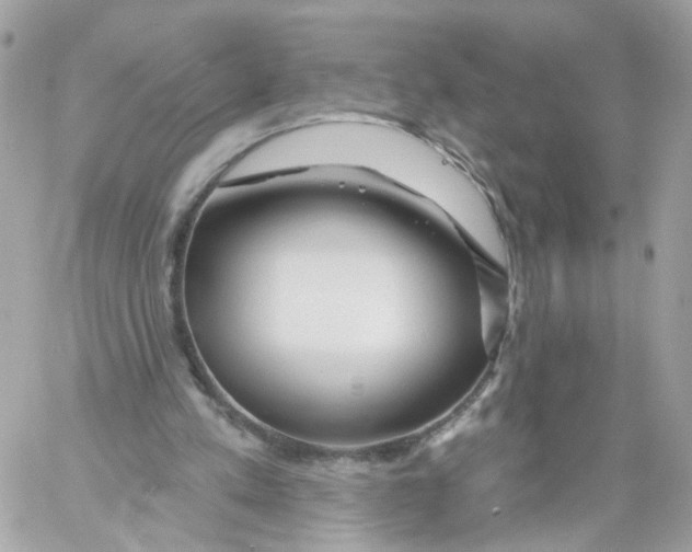 X0000058120197200510212029