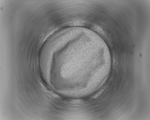 X0000058120202200510212029