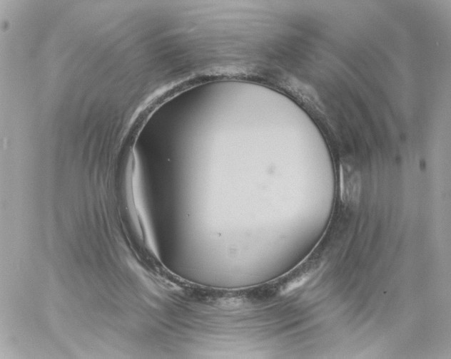 X0000058120204200510212029