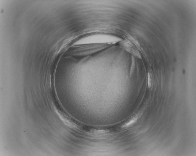 X0000058120205200510212029