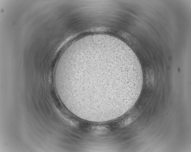 X0000058120208200510212029