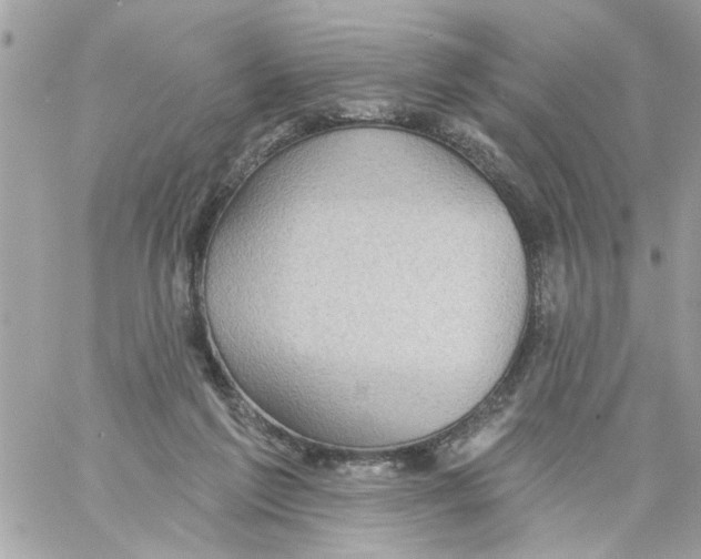 X0000058120213200510212029