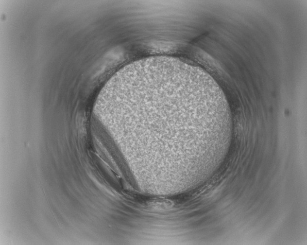 X0000058120215200510212029