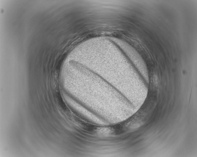 X0000058120218200510212029