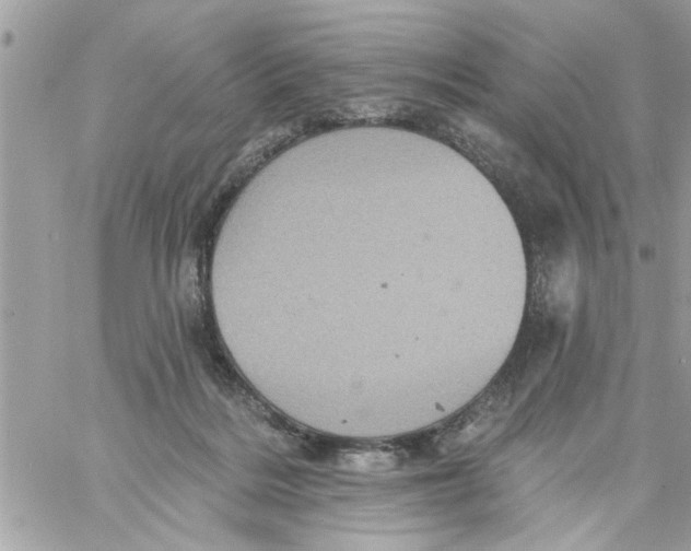 X0000058120220200510212028