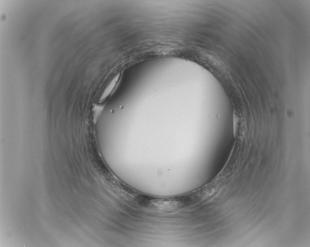 X0000058120221200510212028