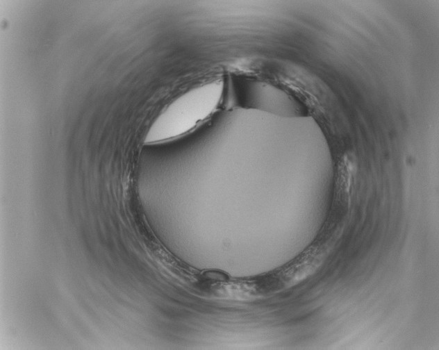 X0000058120223200510212028