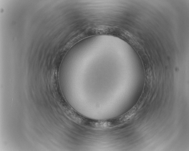 X0000058120225200510212028