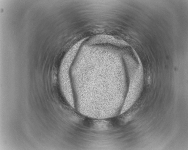 X0000058120226200510212028