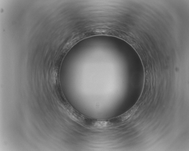 X0000058120227200510212028