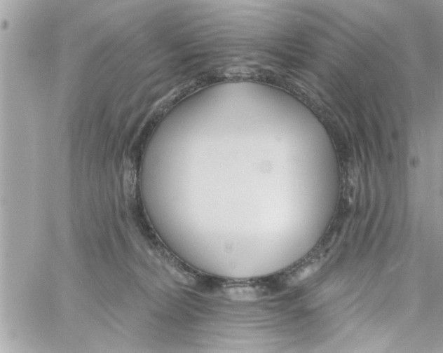 X0000058120228200510212028