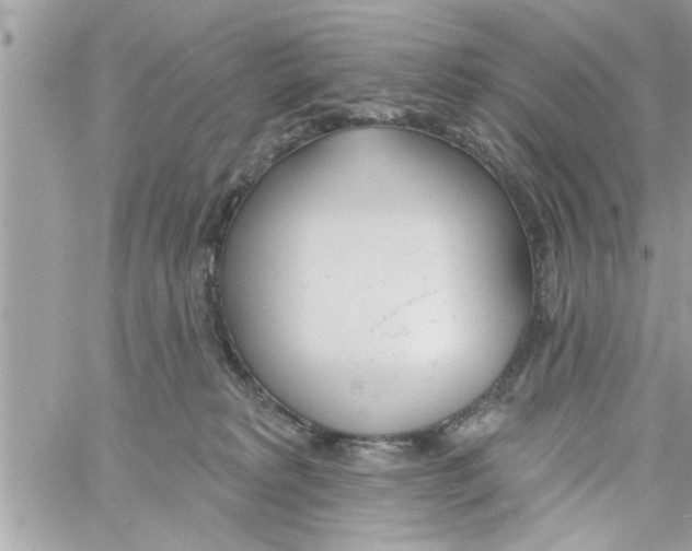 X0000058120229200510212028