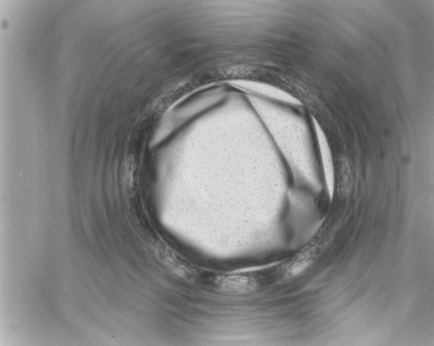 X0000058120230200510212028