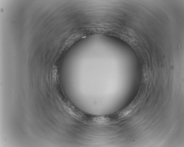 X0000058120231200510212028